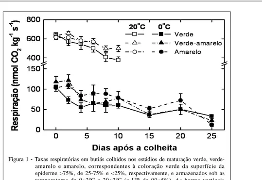 Figura 1 - Taxas respiratórias em butiás colhidos nos estádios de maturação verde, verde- verde-amarelo e verde-amarelo, correspondentes à coloração verde da superfície da epiderme &gt;75%, de 25-75% e &lt;25%, respectivamente, e armazenados sob as tempera