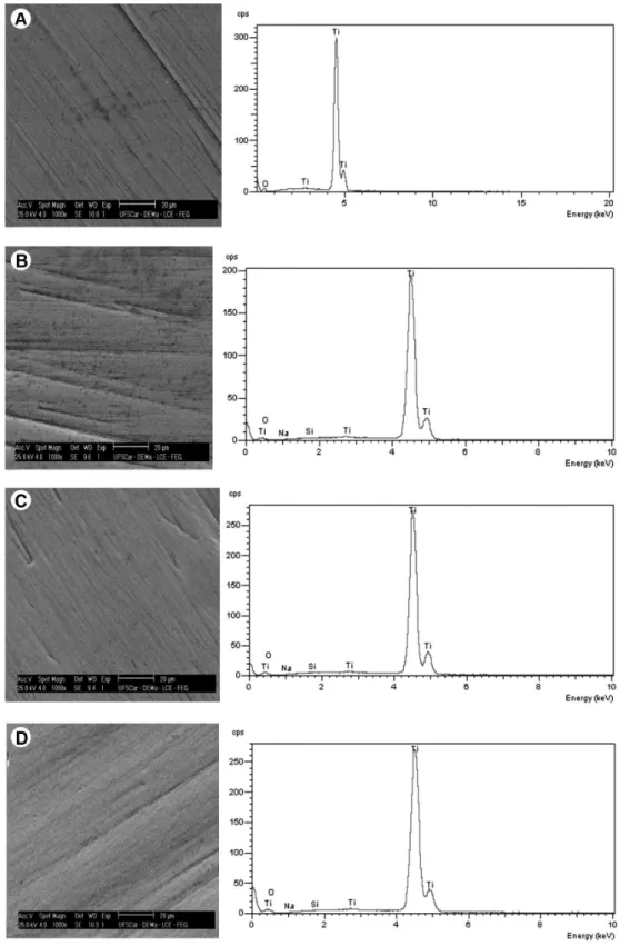 Fig. 4. SEM images of CP titanium grade 4 polarized in a saliva solution (pH 4.8) and immersion in: A: 0.2% peracetic acid for 30 min; B: 0.2% 