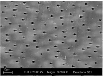 Figure 2. The exposure of dentinal tubules after erosive challenges.