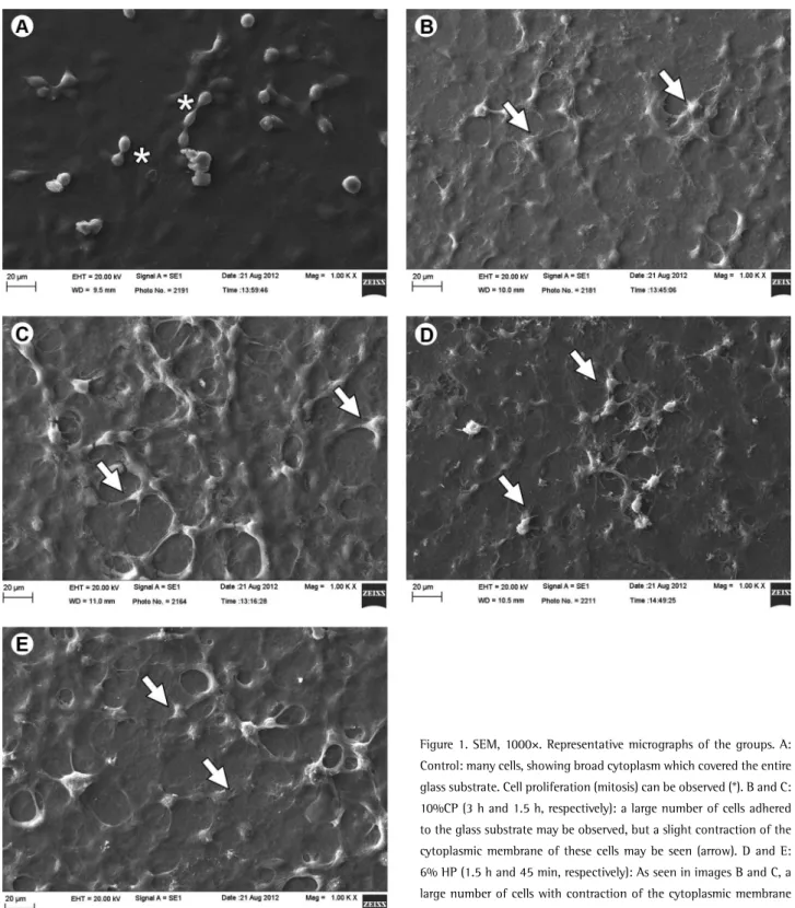 Figure 1. SEM, 1000×. Representative micrographs of the groups. A: 