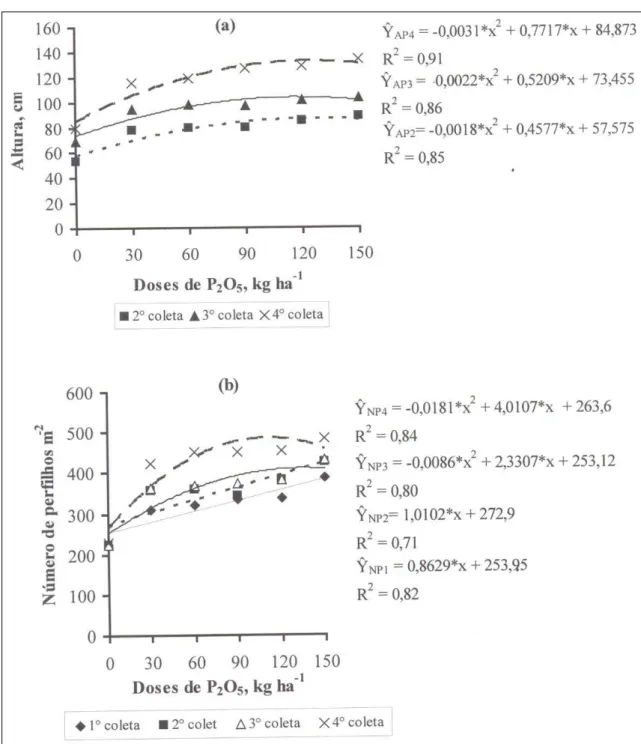 Figura 1 - Altura do dossel (a) e número de perfilhos m -2  (b), de Panicum maximum cv