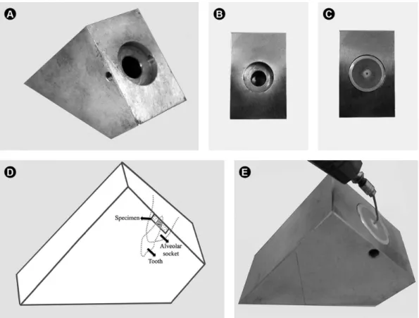 Figure 1. Device designed to standardize the position of the specimens at 45° to the horizontal plane during preparation and restoration of the root-end  cavities