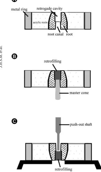 Figure 2. Schematic drawing of specimen preparation and push-out test. 