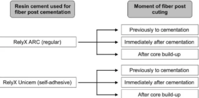 Figure 1. Experimental design. 