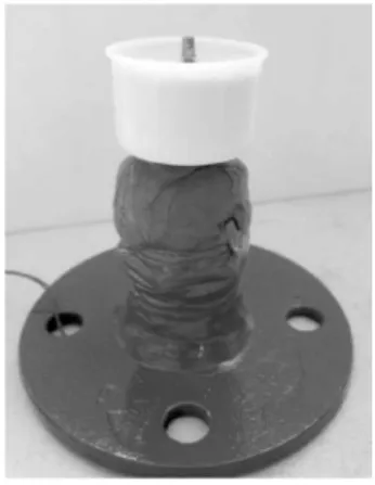 Figure 1. Designed gyrator for making roughened surface equally. Figure 2. Macro view of sandblasted abutments of each group.