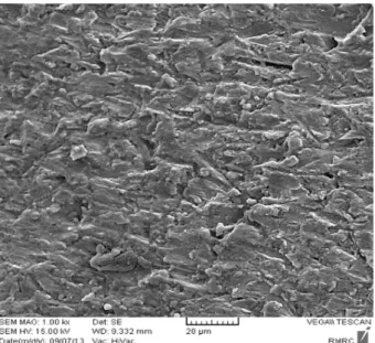 Figure 4. SEM image of abutment’s surface sandblasted with 80 nm  Al 2 O 3  (1000× magnification).