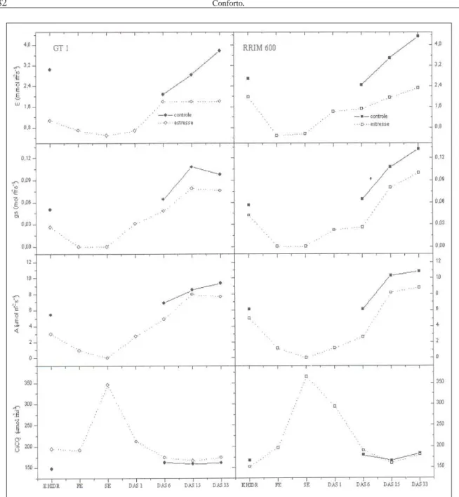 Figura 2 - Valores médios da taxa de transpiração (E), do grau de abertura estomática (gs), da taxa fotossintética (A) e da concentração de  dióxido de carbono na  câmara subestomática (CiCO2), para duas cultivares de seringueira