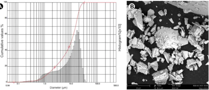 Figure 1. (A) NbG particle size analysis. The Silas device found micro-filler between 0.1 to 100 μm and average size was 10.42 μm