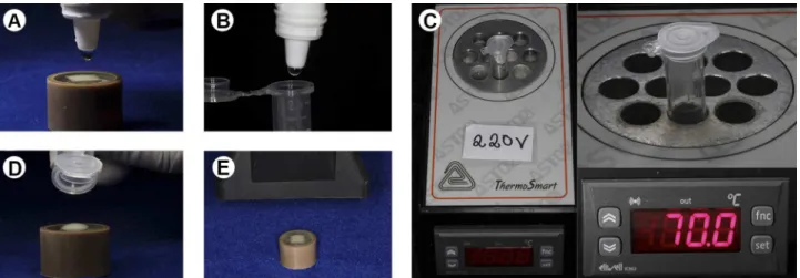 Figure 1. Images of the heating treatment methodology. A: Dispensing one drop of the HF (not previously heated) to the EMX surface