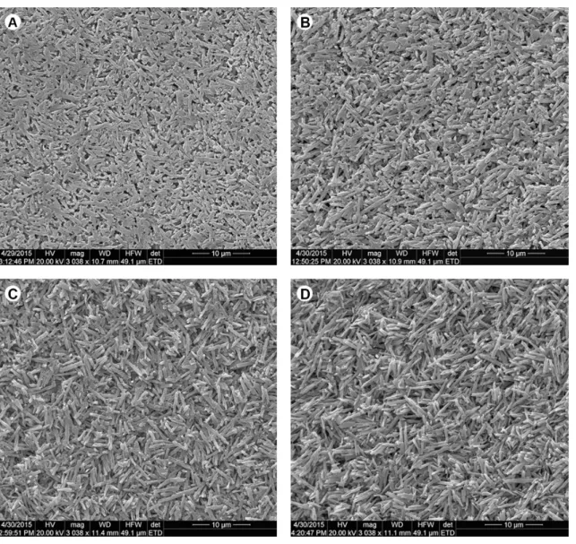 Figure 3. FE-SEM images resulting from acid etching with 5% hydrofluoric acid (HF) and its respective interactions with heat treatments (PHT)