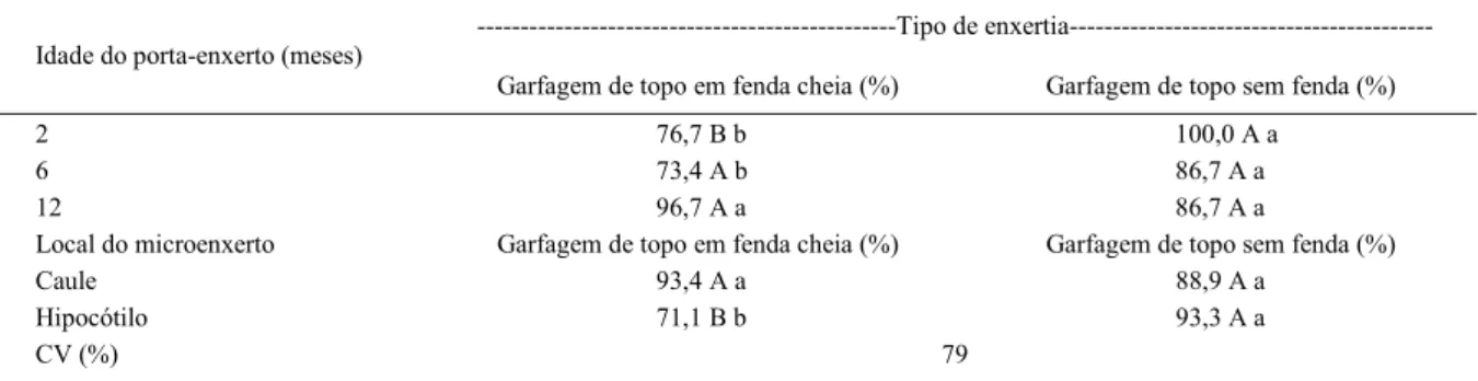 Tabela 2 - Porcentagem dos microenxertos com calo aparente na região da enxertia, em Araucaria angustifolia.