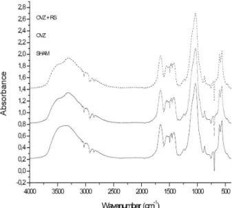 Figure 1 shows the average spectra for each  experimental group. Statistical analysis showed that the  ratio between areas of the phosphate band and those of  amide I and II showed no significant difference between  groups (p=0.23) (Table 1)