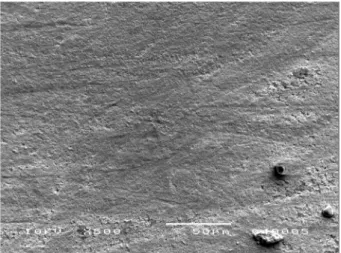 Figure 2. SEM micrograph (500×) of the specimen polished, bleached  with 35% hydrogen peroxide for 40 min and etched with 37% 