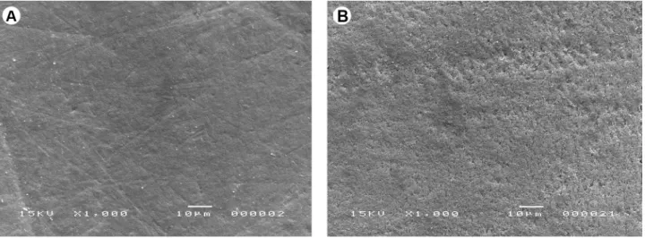 Figure 5. A: Surface of eroded/abraded bovine enamel. Discrete demineralization on the surface is observed