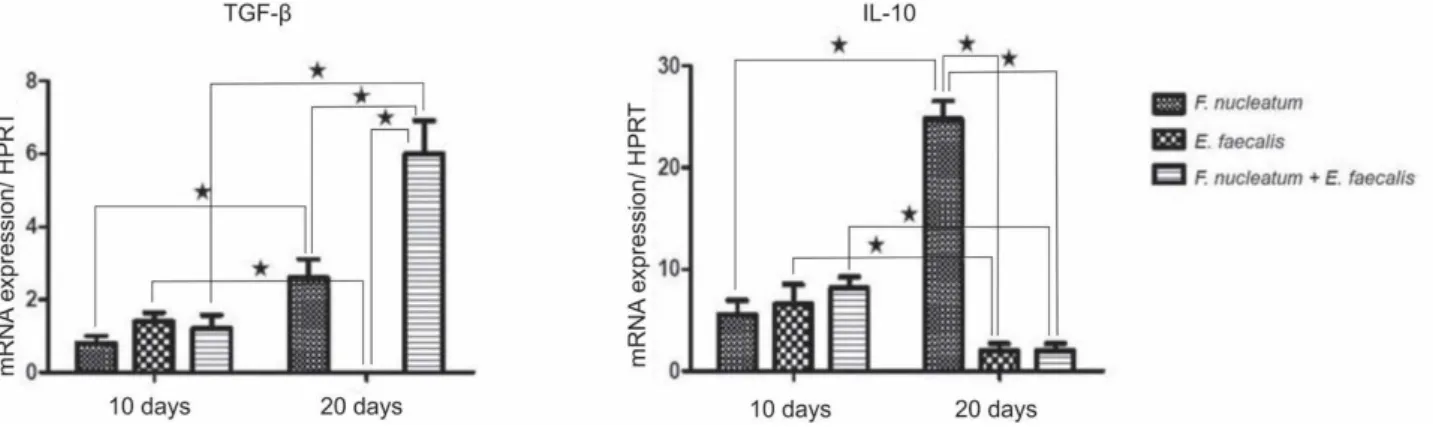 Figure 2. mRNA expression of TGF- , and IL-10  cytokines in periapical tissues 10 and 20 days after the surgical procedure analyzed by real- real-time PCR