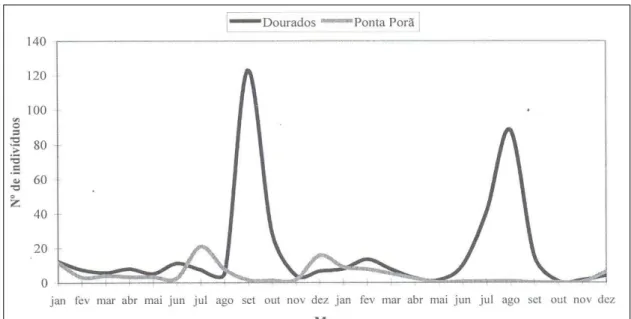 Figura 1 - Número médio mensal de cigarrinhas, Daubulus maidis, capturadas/armadilha adesiva em área com milho (verão e safrinha) de Dourados-MS e Ponta Porã-MS, nos anos de 2001 e 2002.