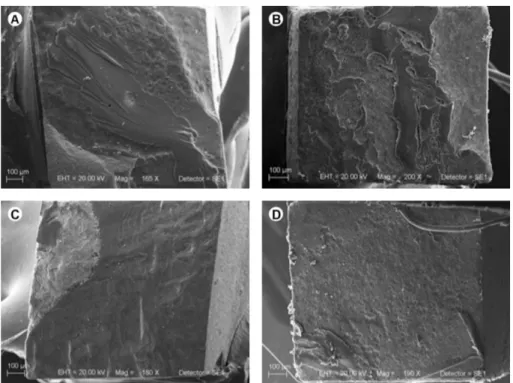 Figure 2. Representative SEM images (20 kV, 100µm) of mixed failures predominant in all groups