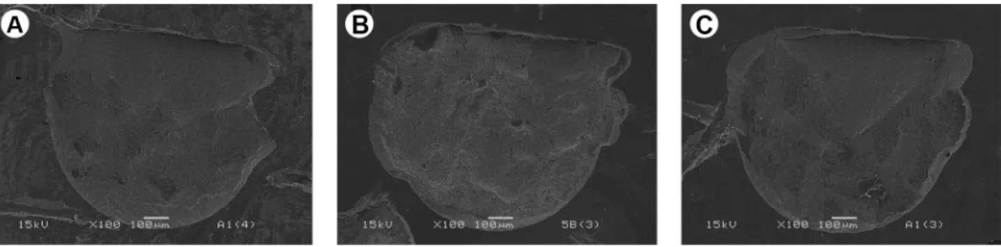 Figure 1. Composite image of representative SEM micrographs of failure modes: A: adhesive failure, B: cohesive failure and C: mixed failure.