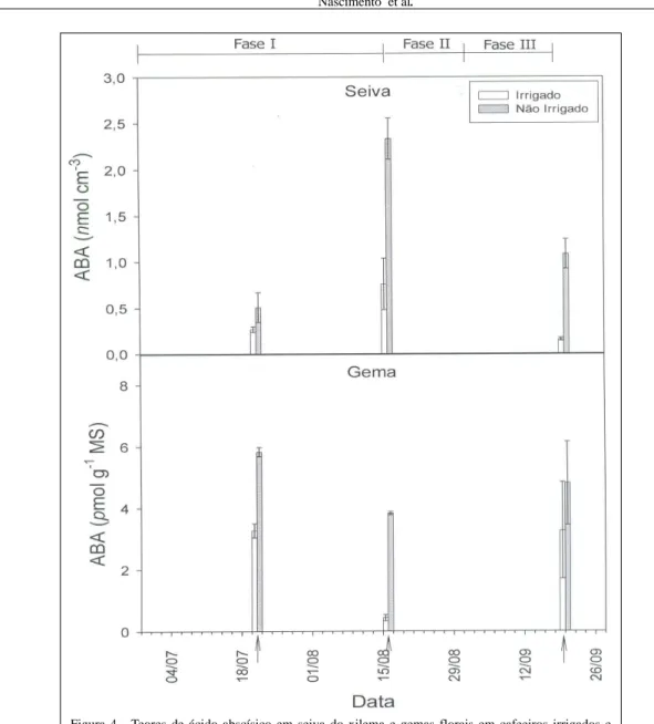 Figura 4 - Teores de ácido abscísico em seiva do xilema e gemas florais em cafeeiros irrigados e não irrigados