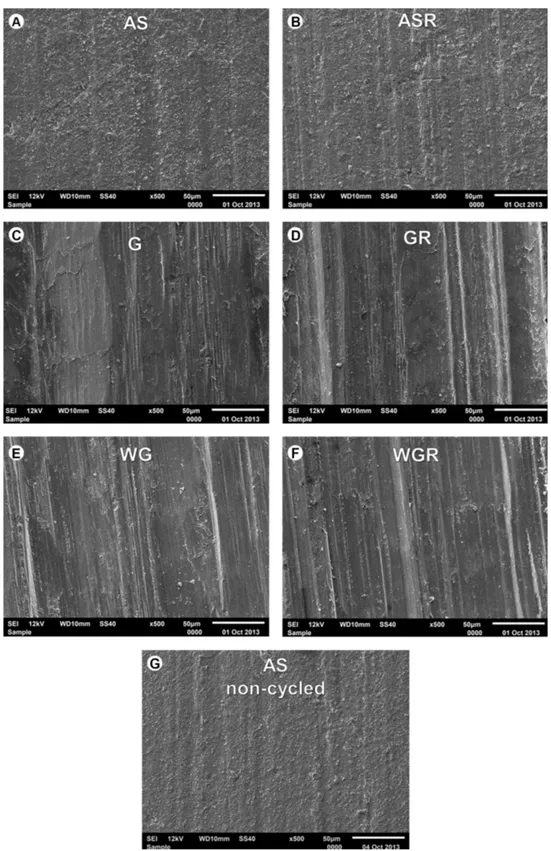 Figure 1. Representative SEM micrographs of cycled (A-F) and non-cycled (G) groups. A: as-sintered specimen; B: resintered as-sintered specimen; 