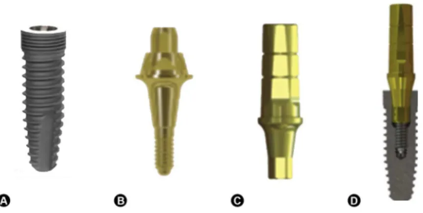 Figure 1. Morse taper implants and abutments. A: Strong SW Morse implant model by SIN; B: 