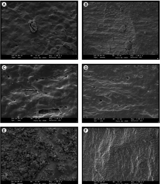 Figure 1. Surface morphology of human dentin slices after treatment by tested root conditioning agents as analyzed by SEM
