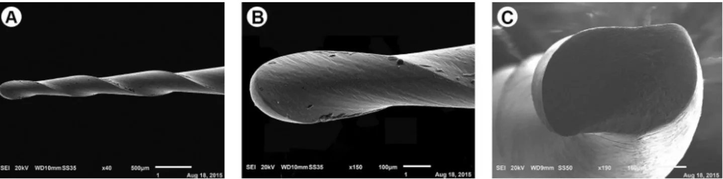 Figure 1. Easy ProDesign Logic instrument (25.06) (A), with an inactive tip (B), two cutting blades and a modified S-shaped cross-section (C).