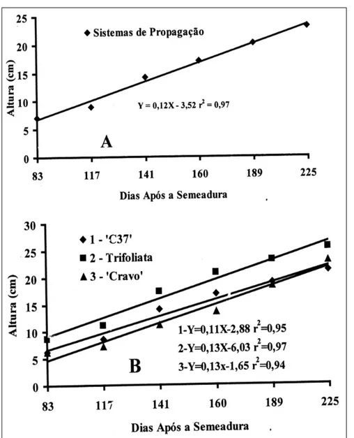 Figura 1 - Efeito de dois sistemas de propagação no crescimento em altura de porta-enxertos cítricos ao longo do tempo