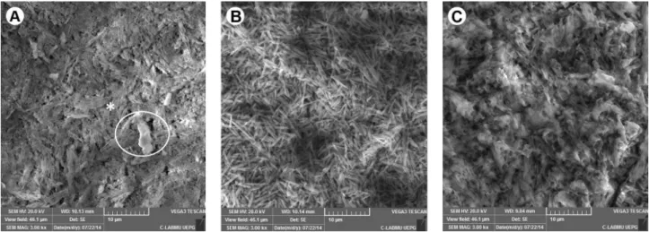 Figure 4. SEM images obtained from each experimental (Original magnification 3000×): A: Group A; B: Group AF; C: Group AFF