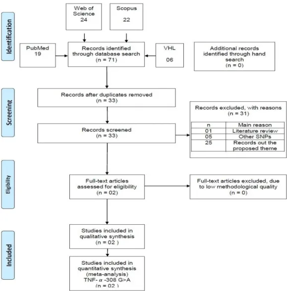 Figure 1. Preferred Reporting Items for Systematic Reviews and Meta-Analyses: Prisma 2009 Flow Diagram