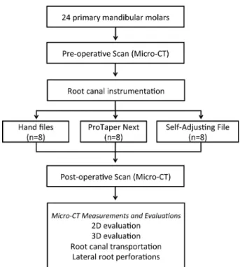 Figure 1. Diagram representation of study design.