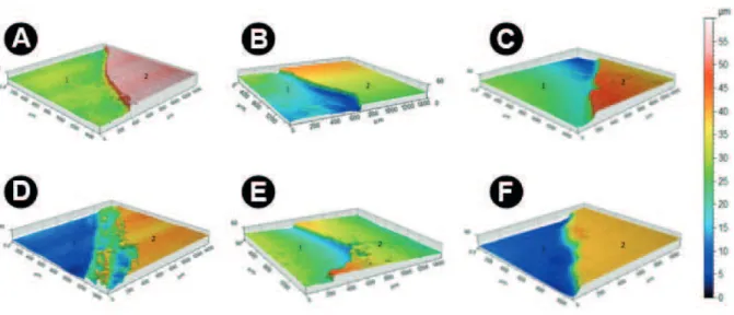 Figure 2. 3D profilometry images of enamel surface samples after treatment and erosion challenges for each group