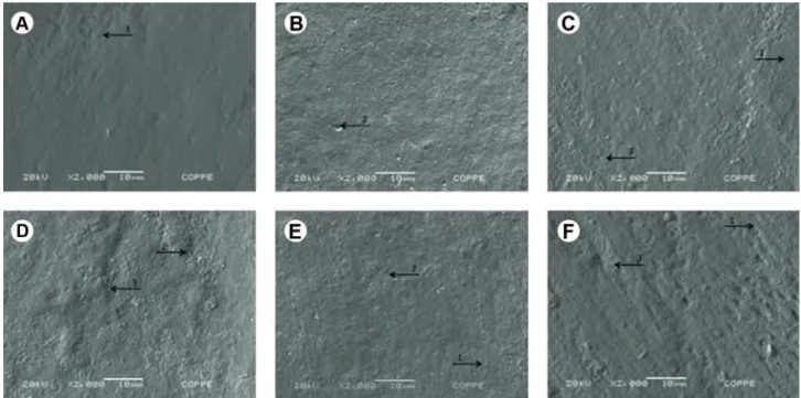 Figure 3. SEM micrographs of enamel surface samples after treatment and erosion challenges at  ฀ 500