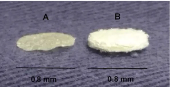 Figure 1. Biomaterials evaluated. Biomembrane (A) and Scaffold (B).