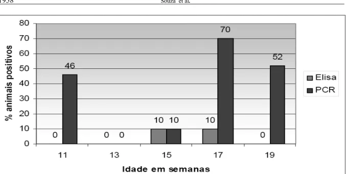 Figura 1 - Porcentagem de amostras positivas obtidas no teste de ELISA (LPS dos sorotipos 3, 5 e 7) e número de amostras positivas no teste de PCRcpx, a partir de biópsia de tonsila na detecção de Actinobacillus pleuropneumoniae, em 82 suínos de diferentes