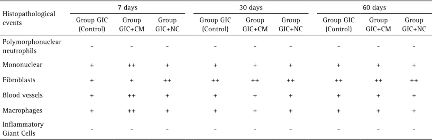 Table 1 shows a summary of the qualitative microscopic  analysis results. Polymorphonuclear neutrophils and giant  cells were not associated with biomaterials in any of the  experimental periods