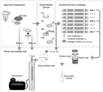 Figure 1 shows the experimental set-up of the study. 
