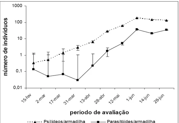 Figura 1 - Número médio de adultos de Glycaspis brimblecombei e de Psyllaephagus bliteus por armadilha amarela em plantio de Eucalyptus camaldulensis, Luiz Antônio, SP