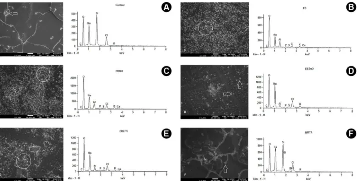 Figure 3. Photomicrographs (left) and respective graphs (right) representative of SEM/EDS analyses (original magnification, 1000´) of the chemical  elements in the extracts from the different tested cements