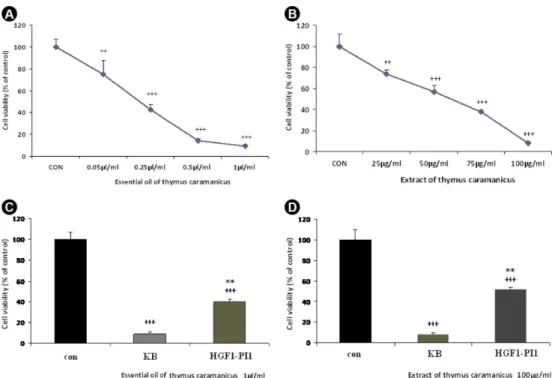 Figure 2. Effect of different concentrations of Thymus caramanicus essential oil (A) and its extract (B) on cancer KB cells viability determined by  neutral red assay