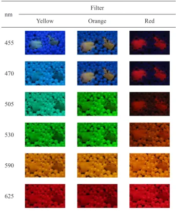 Figure 3. Mean (standard deviation), limits of the confidence interval  (95%) and Tukey’s test for comparison of mean brightness of different  materials used when using the wavelength of 455 nm and an orange  filter.