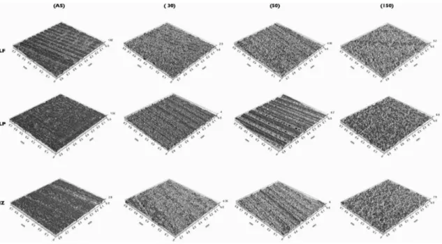 Figure 3. Representative 3-D reconstructed images of the three Y-TZP dental ceramics submitted to all experimental conditions