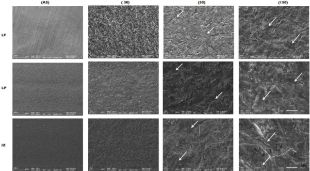 Figure 4. Representative SEM images of the three Y-TZP dental ceramics submitted to all experimental conditions