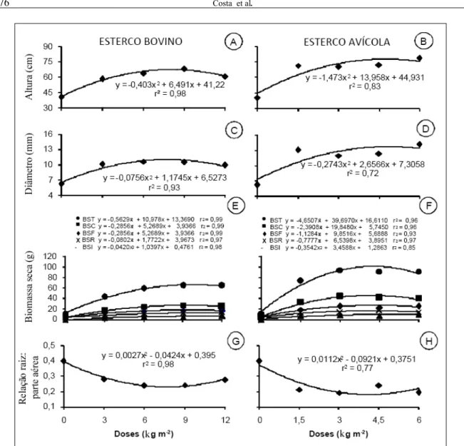 Figura 1 - Crescimento de Ocimum selloi em altura (A e B), diâmetro do caule (C e D), acúmulo de biomassa seca (E e F) e relação raiz:parte aérea (R:PA) (G e H) em função dos diferentes adubos (A, C, E e G = esterco bovino; B, D, F e H = esterco avícola) e