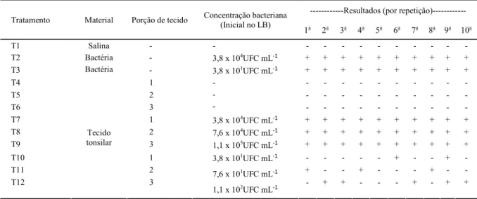 Tabela 1 - Detecção de Actinobacillus pleuropneumoniae pela PCRcpx a partir diferentes concentrações bacterianas e número de porções de  tecido tonsilar, presentes na amostra