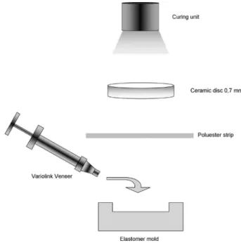 Figure 2. Diagram of the cross-sectional area of the flatted, polished  cement specimen for Knoop hardness readings at different depths.