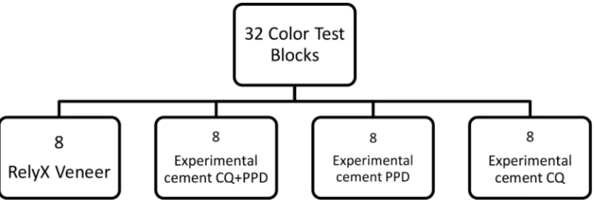 Figure 1. Distribution of experimental groups