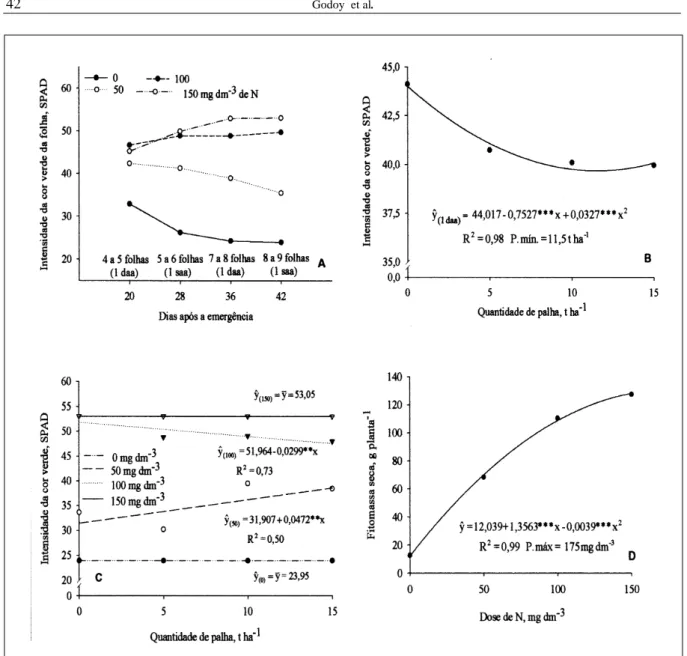 Figura 2 - Intensidade da cor verde da folha, medida pelo clorofilômetro, em função das doses de N no decorrer do período de 28 a 49 dias após a emergência (A); em função da quantidade de palhada remanescente de B