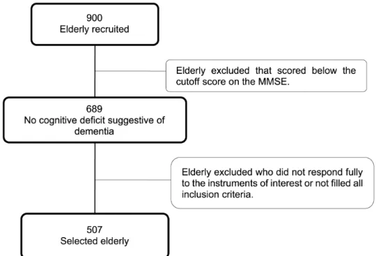 Figure 1. Composition of the sample selected for this study in the fibra study context, Campinas (São Paulo/Brazil) 2008-2009 (n=507)