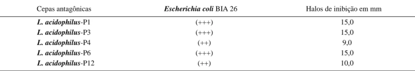 Tabela 1 - Atividade antimicrobiana “in vitro” realizada por cepas de Lactobacillus acidophilus identificadas por P1, P3, P4, P6 e P12 contra E.coli BIA 26 (STEC) isolada de queijo “Minas frescal”.